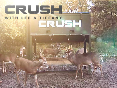 Watch Our Live Lee and Tiffany Deer Cam | CarbonTV