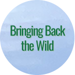 Bringing Back the Wild Logo