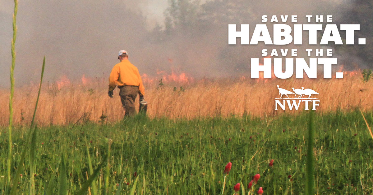 Watch Save The Habitat Save The Hunt Online Carbontv
