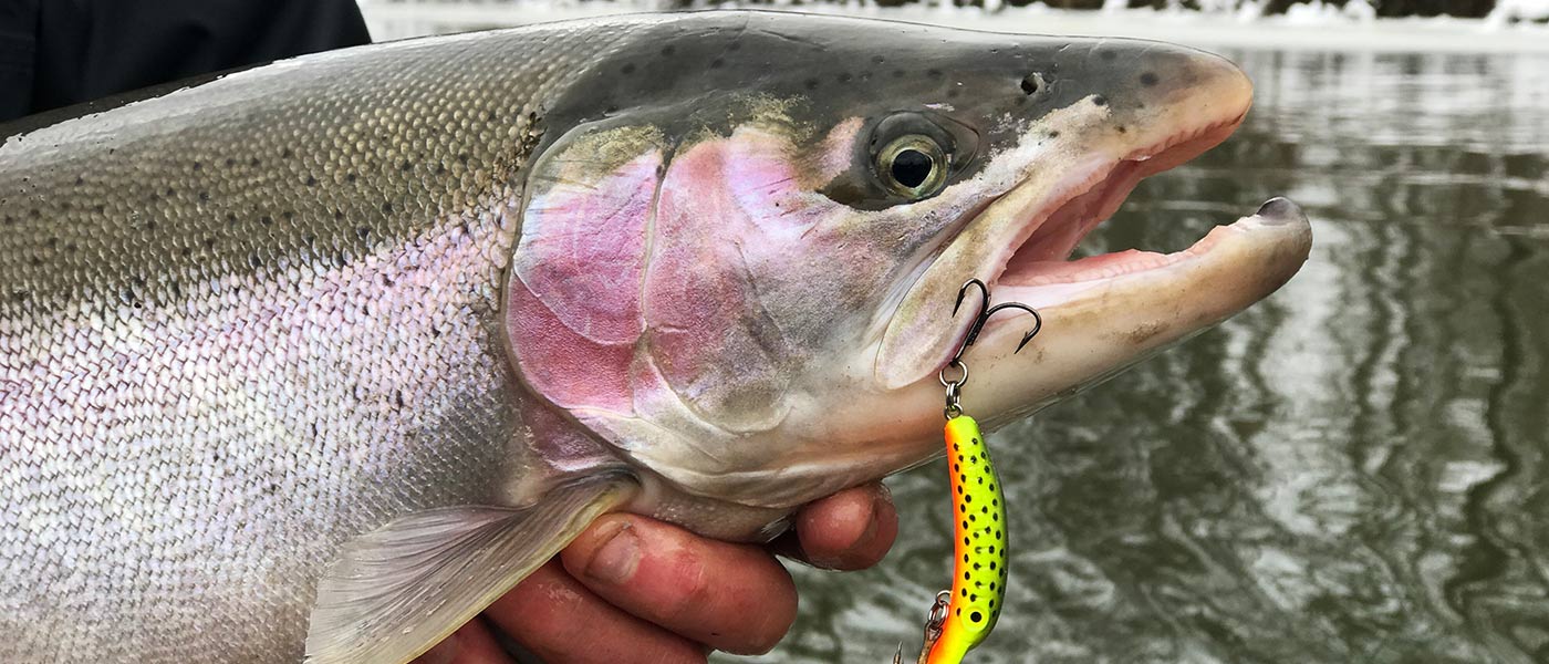 Fishing 411
