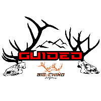 Guided Logo