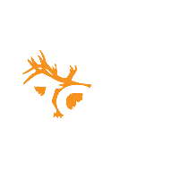 Western Obsessions TV Logo