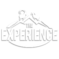 The Experience  Logo