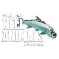 Reel Animals Logo