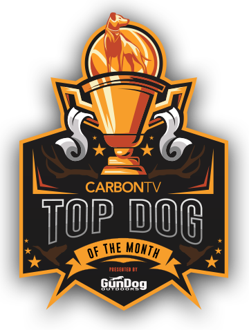 Top Dog Logo